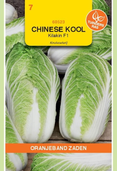 Chinese kool Kilakin F1 (Brassica) 50 zaden OBZ